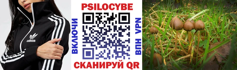 цена наркотик  Магадан  mega маркетплейс  Псилоцибиновые грибы мухоморы 
